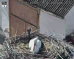 Capi_Dubne_20250416_162002.jpg