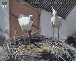 Capi_Dubne_20250416_162503.jpg