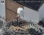 Capi_Dubne_20250416_170503.jpg