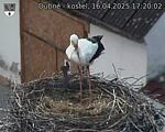 Capi_Dubne_20250416_172002.jpg