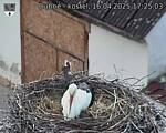 Capi_Dubne_20250416_172503.jpg