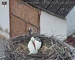 Capi_Dubne_20250416_180003.jpg