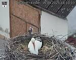 Capi_Dubne_20250416_181003.jpg