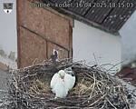 Capi_Dubne_20250416_181503.jpg