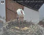 Capi_Dubne_20250416_185503.jpg