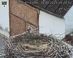 Capi_Dubne_20250416_192003.jpg