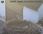 Capi_Dubne_20250416_194002.jpg