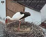Capi_Dubne_20250416_195003.jpg