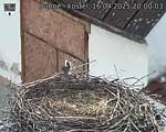 Capi_Dubne_20250416_200003.jpg