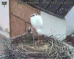 Capi_Dubne_20250416_200503.jpg