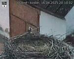 Capi_Dubne_20250416_201002.jpg