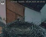 Capi_Dubne_20250416_201502.jpg