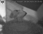 Capi_Dubne_20250416_203502.jpg
