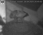 Capi_Dubne_20250416_204502.jpg