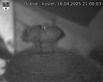 Capi_Dubne_20250416_210003.jpg