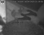 Capi_Dubne_20250416_211002.jpg