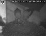 Capi_Dubne_20250416_213002.jpg