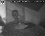 Capi_Dubne_20250416_214502.jpg