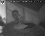 Capi_Dubne_20250416_220502.jpg