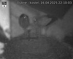Capi_Dubne_20250416_221003.jpg