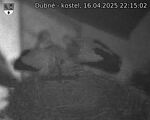 Capi_Dubne_20250416_221502.jpg