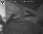 Capi_Dubne_20250416_222503.jpg
