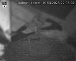 Capi_Dubne_20250416_223502.jpg