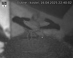 Capi_Dubne_20250416_224002.jpg