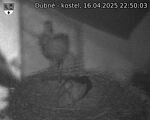Capi_Dubne_20250416_225003.jpg