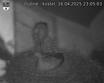 Capi_Dubne_20250416_230503.jpg