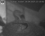 Capi_Dubne_20250416_231002.jpg