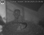 Capi_Dubne_20250416_233502.jpg