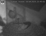 Capi_Dubne_20250416_234502.jpg