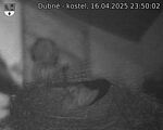 Capi_Dubne_20250416_235002.jpg