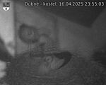 Capi_Dubne_20250416_235503.jpg