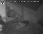 Capi_Dubne_20250417_000002.jpg
