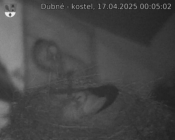 Capi_Dubne_20250417_000502.jpg (1350 x 1080)