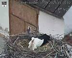 Capi_Dubne_20250417_151002.jpg