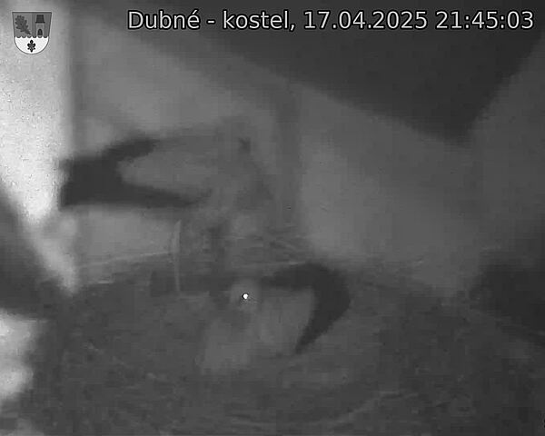 Capi_Dubne_20250417_214503.jpg (1350 x 1080)
