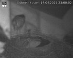 Capi_Dubne_20250417_230003.jpg