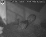 Capi_Dubne_20250417_231502.jpg