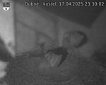 Capi_Dubne_20250417_233002.jpg