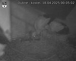 Capi_Dubne_20250418_000502.jpg