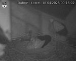 Capi_Dubne_20250418_001502.jpg
