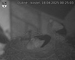 Capi_Dubne_20250418_002503.jpg