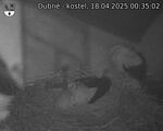 Capi_Dubne_20250418_003502.jpg
