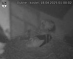 Capi_Dubne_20250418_010002.jpg
