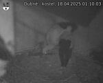 Capi_Dubne_20250418_011003.jpg