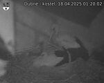 Capi_Dubne_20250418_012002.jpg
