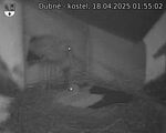 Capi_Dubne_20250418_015502.jpg